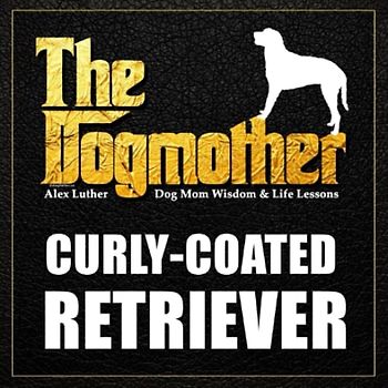 The Dogmother: Curly Coated Retriever: (Dog Mom Wisdom & Life Lessons)
