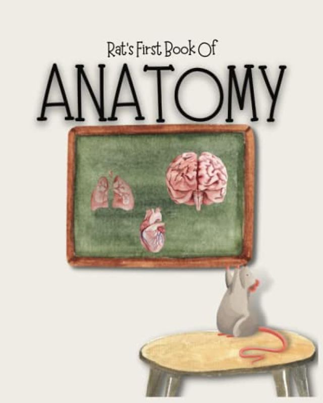 Anatomy: your child's introduction to the human body (Rat's First Book)