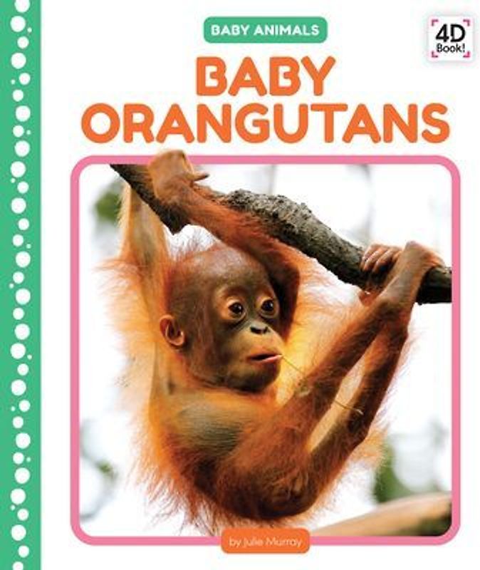 Baby Orangutans
