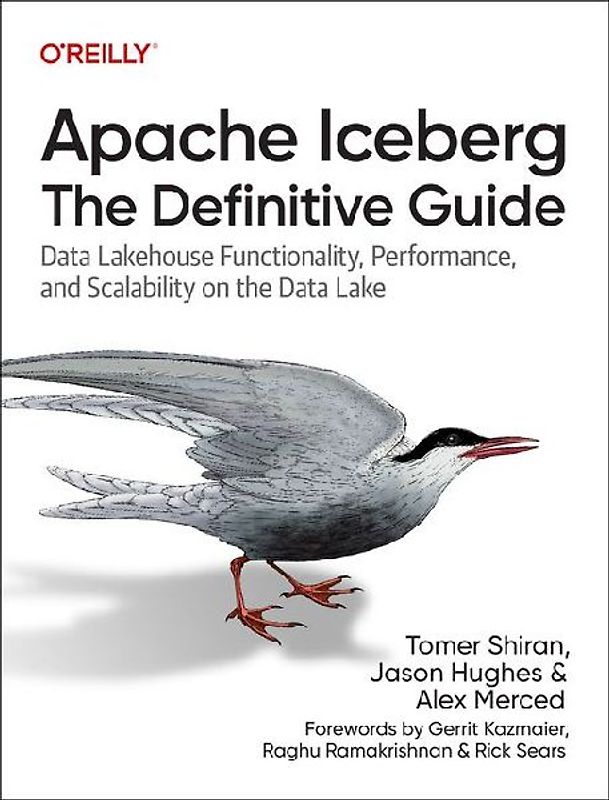 Apache Iceberg: The Definitive Guide