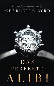 Das perfekte Alibi (Der perfekte Fremde, Band 2)