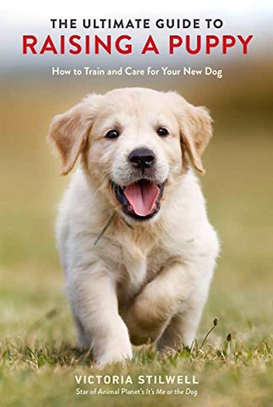 The Ultimate Guide to Raising a Puppy: How to Train and Care for Your New Dog