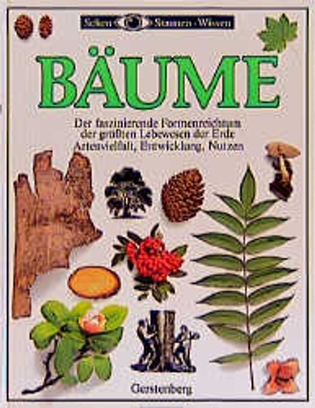 Bäume