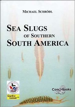 Sea slugs of southern South America