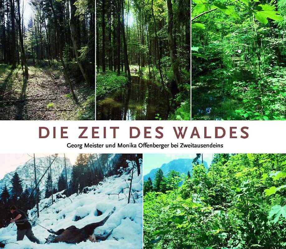 Die Zeit des Waldes