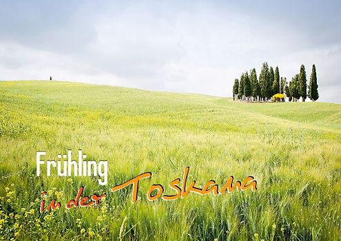 Frühling in der Toskana (Posterbuch DIN A4 quer)