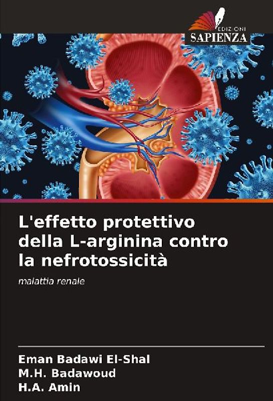 L'effetto protettivo della L-arginina contro la nefrotossicità