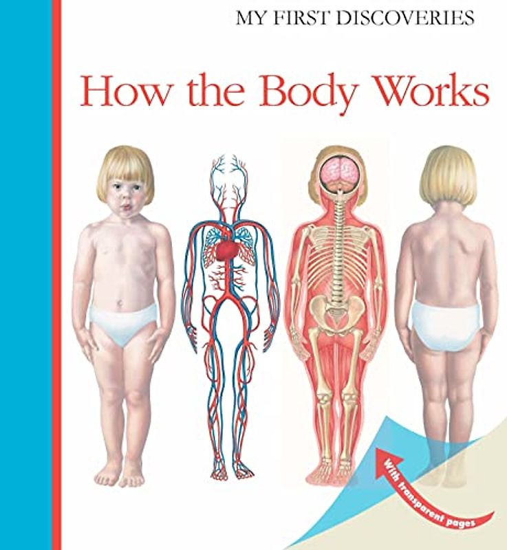 How the Body Works (My First Discoveries)