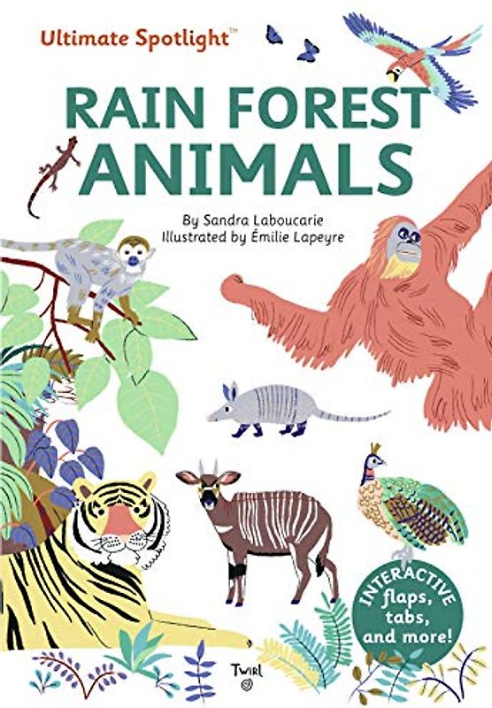 Ultimate Spotlight: Rain Forest Animals