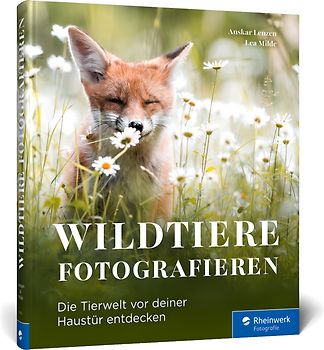 Wildtiere fotografieren