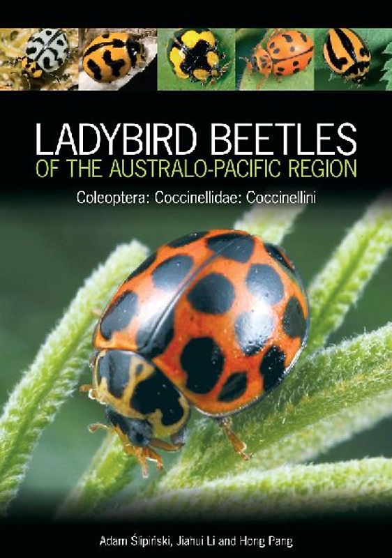 Ladybird Beetles of the Australo-Pacific Region