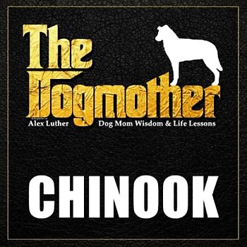 The Dogmother: Chinook: (Dog Mom Wisdom & Life Lessons)