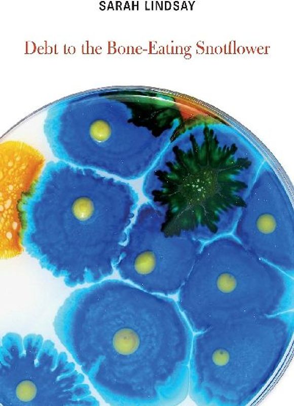 Debt to the Bone-Eating Snotflower