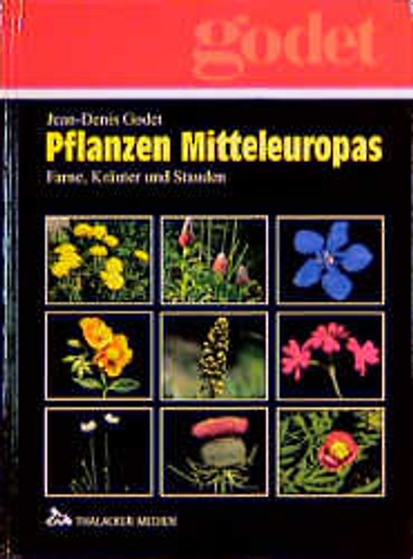 Pflanzen Mitteleuropas