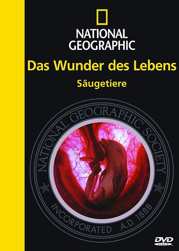 Wunder des Lebens, Das: Säugetiere DVD
