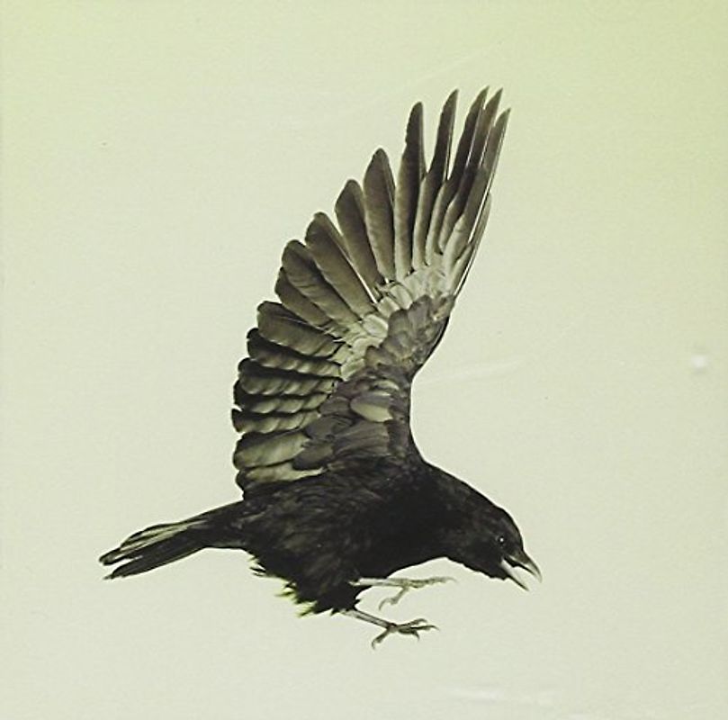 Feeder - Silent Cry (Deluxe Edition)