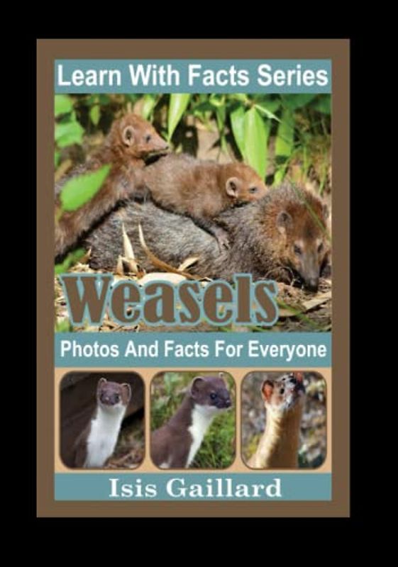 Weasels Photos and Facts for Everyone: Animals in Nature (Learn With Facts Series, Band 115)