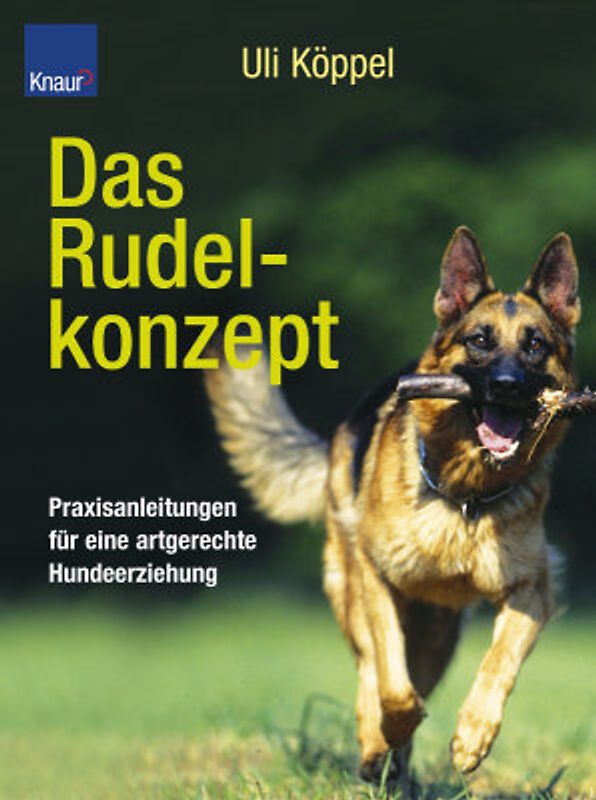 Rudelkonzept