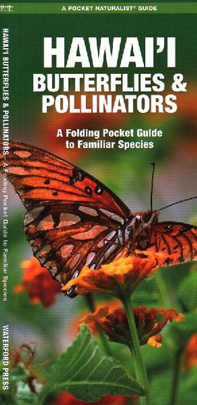 Hawai'i Butterflies & Pollinators, 2nd Ed