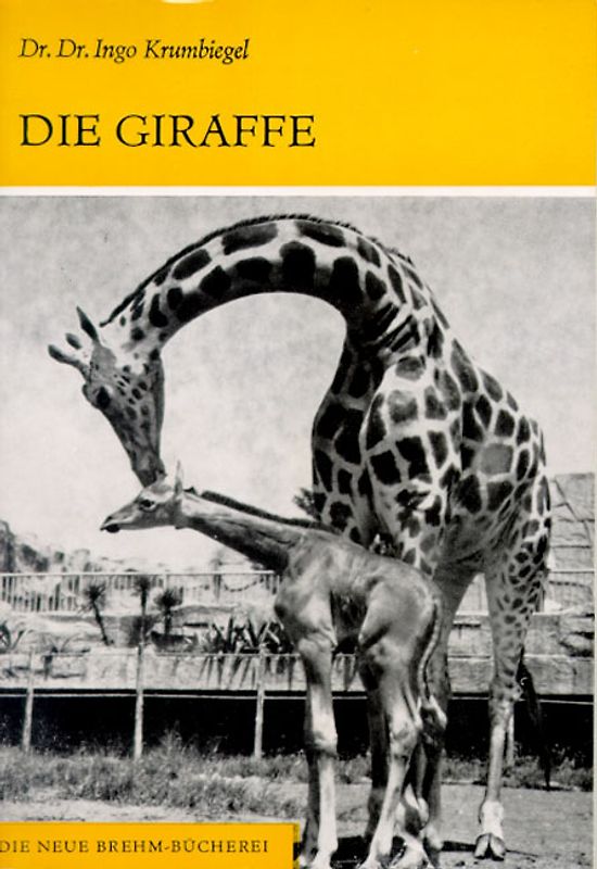 Die Giraffe