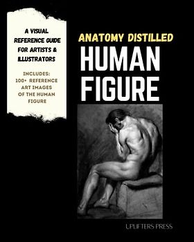 Anatomy Distilled Human Figure: A Visual Reference Guide for Artists & Illustrators (Anatomy Distilled: Visual Reference Guides for Artists & Designers)