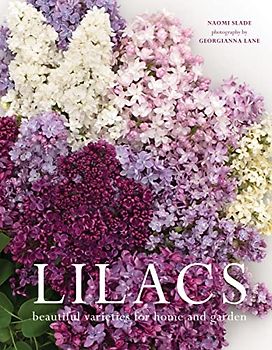 Lilacs