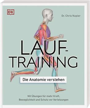 Lauftraining – Die Anatomie verstehen