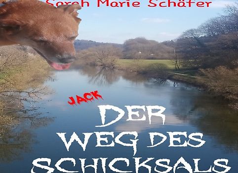 Der Weg des Schicksals