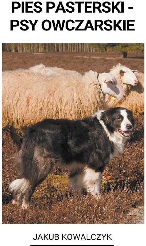 Pies Pasterski - Psy Owczarskie