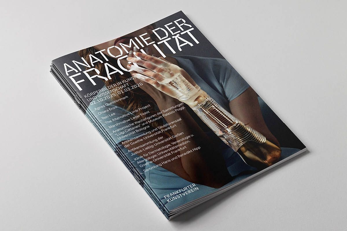 Anatomie der Fragilität