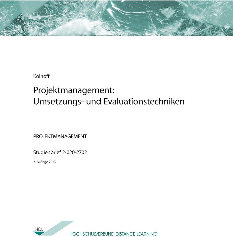 Projektmanagement: Umsetzungs- und Evaluationstechniken