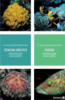 Stachelhäuter/Fische indopazifischer Korallenriffe