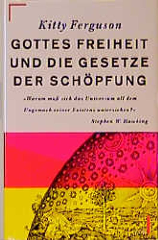 Gottes Freiheit und die Gesetze der Schöpfung. Warum muss sich das Universum all dem Ungemach seiner Existenz unterziehen
