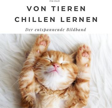 Von Tieren chillen lernen