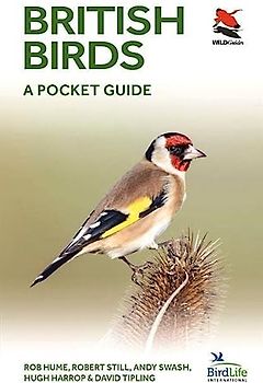 British Birds: A Pocket Guide (Wildguides)