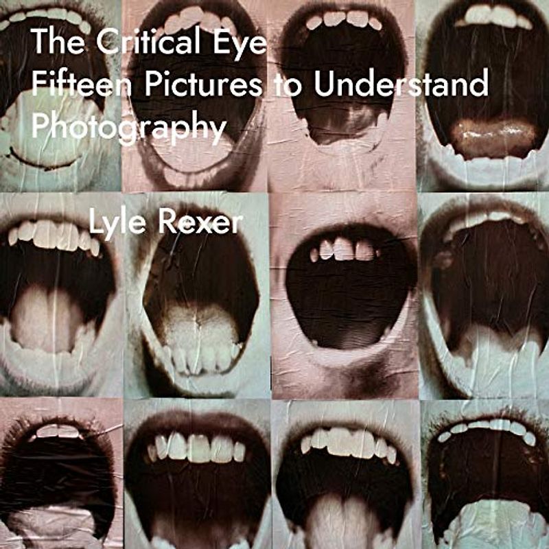 The Critical Eye: Fifteen Pictures to Understand Photography (Investigations of Lens and Screen Arts)