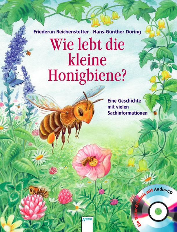 Wie lebt die kleine Honigbiene?
