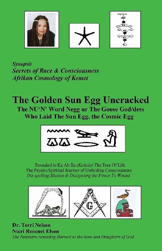 The Golden Sun Egg Uncracked  The NU'N' Word Negg ur