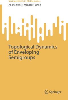 Topological Dynamics of Enveloping Semigroups