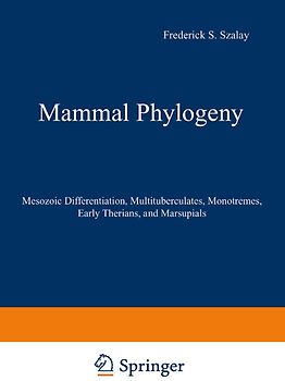 Mammal Phylogeny