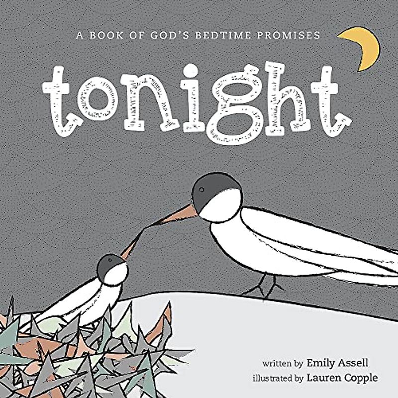 Tonight: A Book of God's Bedtime Promises (Hodder Faith Young Explorers)