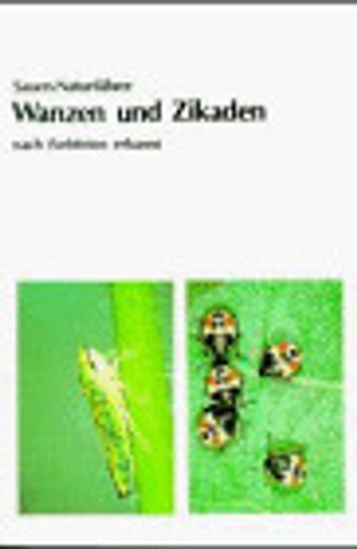 Wanzen und Zikaden. Nach Farbfotos erkannt