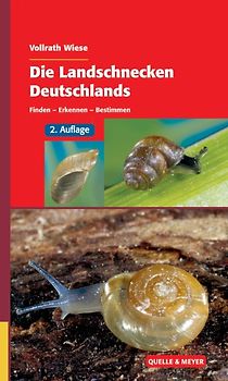 Die Landschnecken Deutschlands