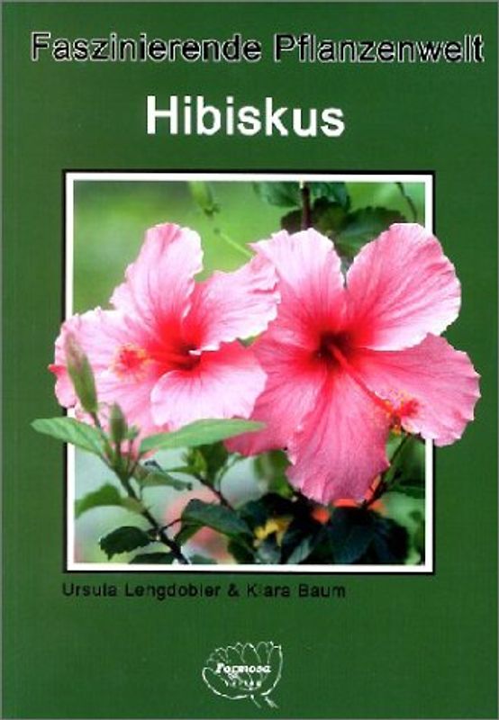 Hibiskus