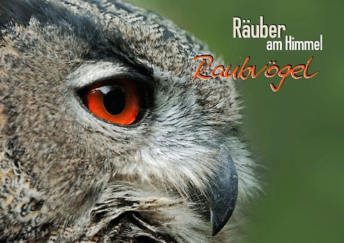 Räuber am Himmel: Raubvögel (Posterbuch DIN A3 quer)