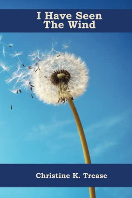 I Have Seen The Wind