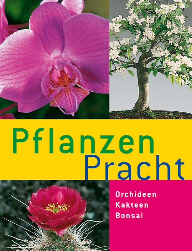 Pflanzenpracht. Orchideen · Kakteen · Bonsai