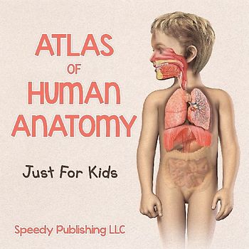 Atlas Of Human Anatomy Just For Kids