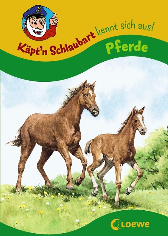 Pferde