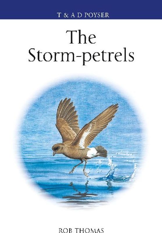 The Storm-petrels
